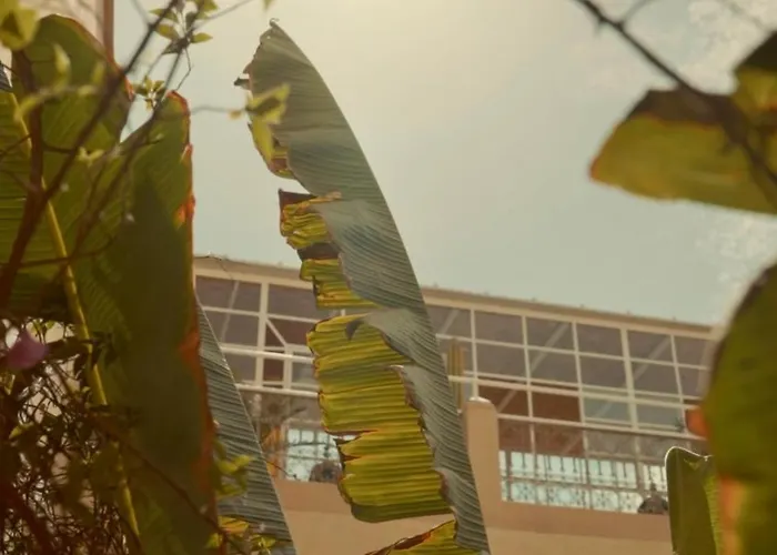 Riad Azoulay Marrakesh